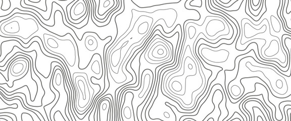 White wave paper curved reliefs abstract background, Abstract topographic contours map background. Geographic mountain relief. Abstract lines background. Contour maps. Business concept.