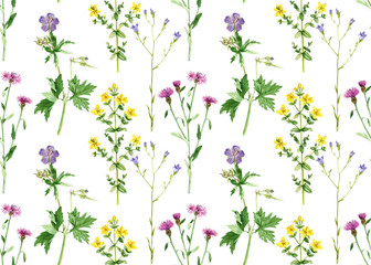 seamless pattern with drawing wild flowers and green leaves at white background , hand drawn botanical illustration
