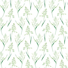 Seamlesss pattern with bluegrass. Hand drawn watercolor illustration isolated on white