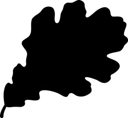 Isolated black silhouette of leaf of oak on white background.