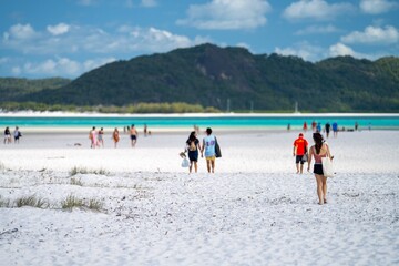 tourist taking a photo on a phone while on holiday. addicted to technology Tourism at the great barrier reef. 