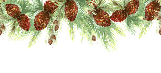 Watercolor illustratsion pine green branch with cone. Illustration in cartoon style. Board seamless