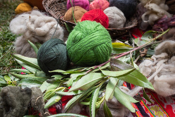 Leaves of ch'illca (common plant of Cusco region), is traditionally used to dye yarn green, Sacred...