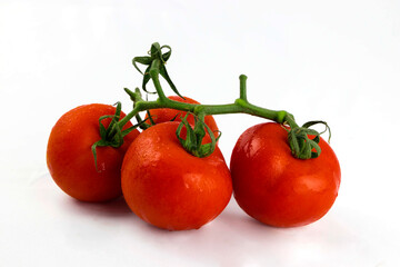red tomato on the branch on white background