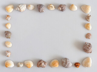 frame of seashells on gray background