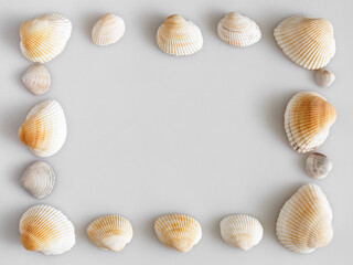 frame of white seashells
