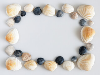 frame of white and blue seashells