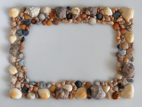 thick frame made of seashells