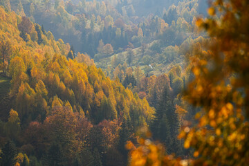Autumn landscape in Romania. Beautiful sightseeing with the fall landscape from villages of Rucar Bran passage in Transylvania with old houses and folk scenery views. Wide angle view.