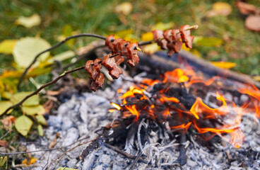 Detail view with bacon and meat roasting over the fire. Cooking by the fire. Food cooked on the embers, in the campsite, at the edge of the forest in the autumn landscape.