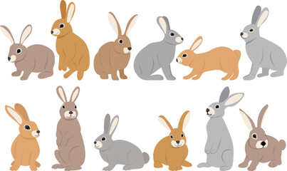 rabbits cute set on white background, isolated vector