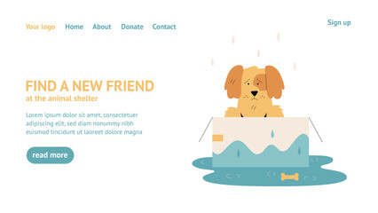 Web page with homeless dog for animal shelter