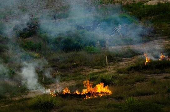 Burning field for the slash-and-burn agriculture method