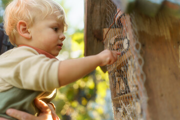 Little boy looking at insect hotel. Concept of home education, ecology gardening and sustainable...