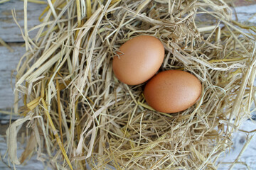 Fresh chicken eggs on dry straw and wooden table in rural village farm in Thailand.