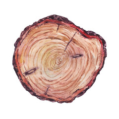 Wood Png Format With Transparent Background	