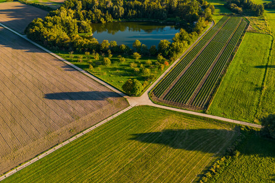 Aerial view of a dirt road crossing between fields and a lake