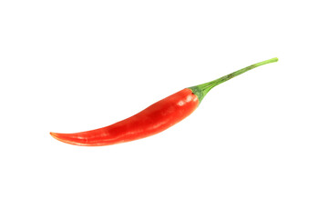 one red chili spicy taste isolated on white background.
