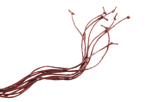 brown leather rope isolated on white background.