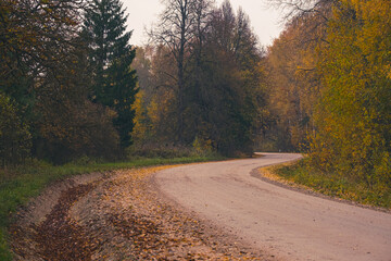 perfect autumn country road through forest, yellow dry leaves on road side, bending dirt road