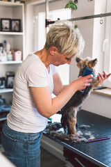 woman dog groomer working in her studio