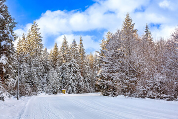 Bansko, Bulgaria, bulgarian winter ski resort panorama with groomed ski road slope and Pirin mountain peaks view