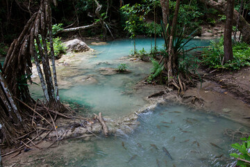 Erawan Waterfall in Kanchanaburi. Amazing turquoise water and wonderful jungle. Ideal place for a picnic and relaxation. One of the most famous tourist attractions in Kanchanaburi province, Thailand. 