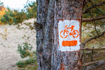 A bicycle path sign painted on a tree in the forest. Forest bike path