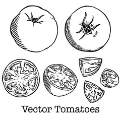 トマトのベクター線画イラスト