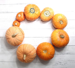 harvesting concept - yellow pumpkins isolated on white wooden background flat lay