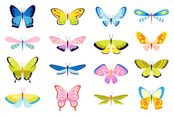 Set of butterflies of different colors and shapes on white background. Beautiful flying insects