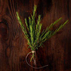 Green rosemary on dark wooden table background