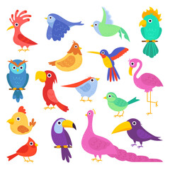 Cute colorful parrots and tropical jungle birds flying and sitting. Macaw, parakeet, ara