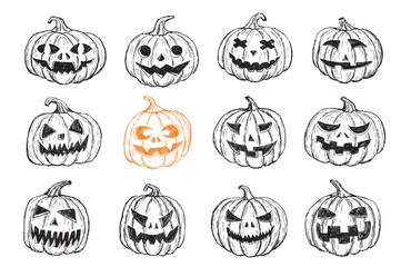 Halloween pumpkin set. Hand drawn illustration.	
