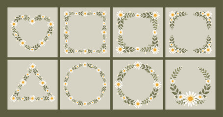 Vector shape of white daisy flowers frame, Floral border box label of wreath ivy style with branch and leaves.