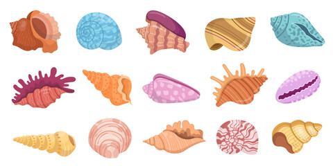 Seashells set. Various colorful mollusk sea shells, starfish and coral. Underwater flora, sea plants