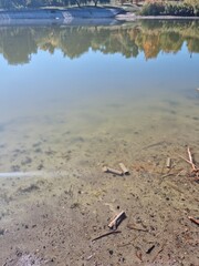 Beautiful forest lake in autumn. Autumn forest lake landscape. Autumn forest lake view. Forest lake in autumn