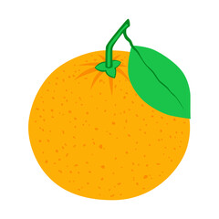 Fresh mandarin  isolated on white background.