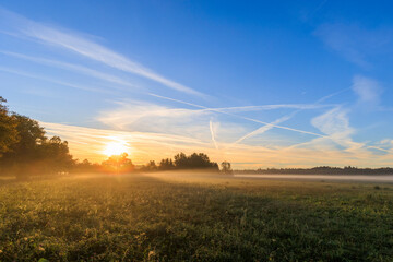Fototapeta na wymiar colorful sunrise over foggy meadows in Augsburg city forest near Siebenbrunn