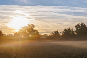 Fototapeta na wymiar colorful sunrise over foggy meadows in Augsburg city forest near Siebenbrunn