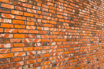 Red brick wall background perspective