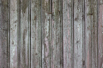 Fototapeta premium Old board panel. Wooden background.