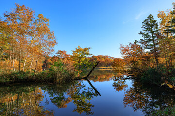 秋の八幡平、後生掛の大沼の紅葉