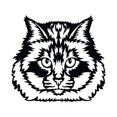 Holy Burma Cat Vector, Peeking Cats, Cats Breed, Pet Vector portrait, Cats Head