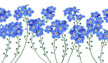 Botanical background with blue forget-me-not flowers. Illustration, realistic style, hand-drawn background for your design, postcards, posts in social networks, advertising, invitations.