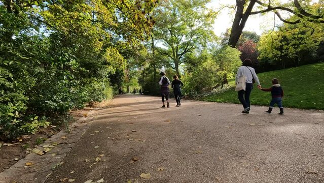 Une grand-m&egrave;re et son petit fils marchent dans un parc et regardent les feuilles d'automne tomber, 119,88fps ralenti X4 - 29,97fps