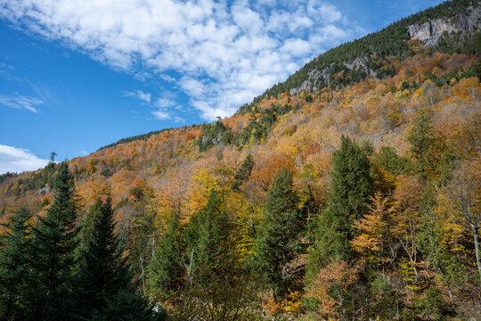 Autumn view into the side of a mountain near Whiteface in the Adirondacks