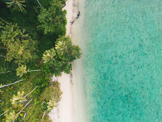 Aerial view of beautiful coconut palm white sand beach sunny day