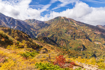 紅葉の天狗の庭