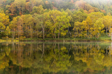 秋の志賀高原木戸池に映り込む紅葉